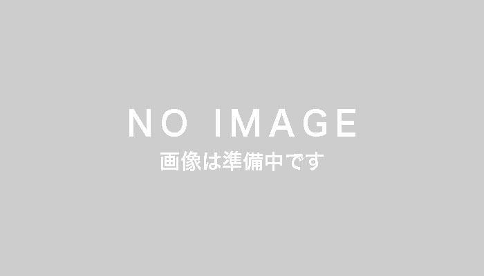 noimage_0000_no image